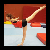 AI Gym Logo